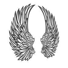New Metal Angel Wings Wall