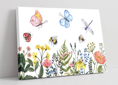Flowers insects summer - &,