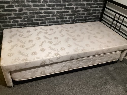 Single trundle guest - single, bed
