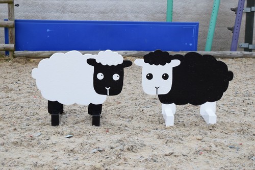 Sheep show jump fillers - sheep,