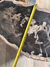 Fossilised Tree Trunk 100kg