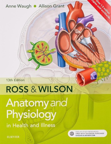 Anatomy physiology in - &, health