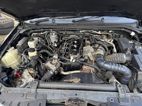 Nissan navara engine - nissan, d40