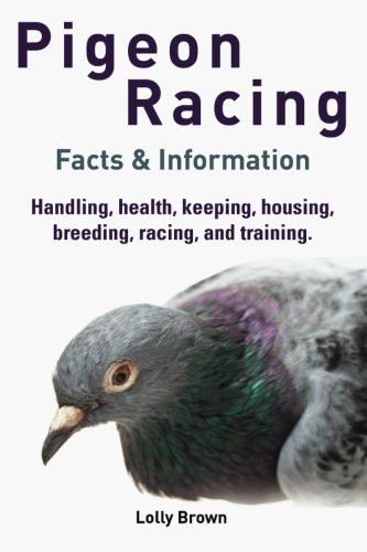 Pigeon racing handling - pigeon,