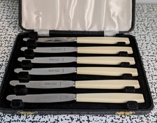 Vintage Ivorine Faux Bone Handle Dinner Butter Knives Box Set 6 Stainless Steel