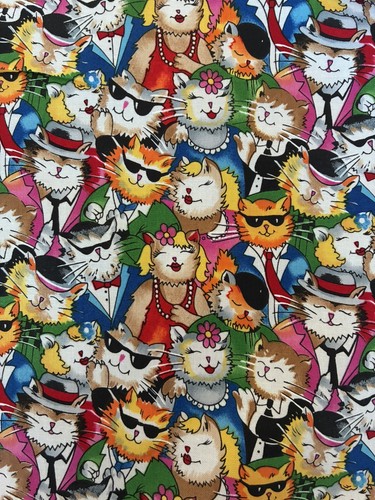 Cool cats 100 - cats, 100%