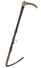 Beautiful Champion & Wilton