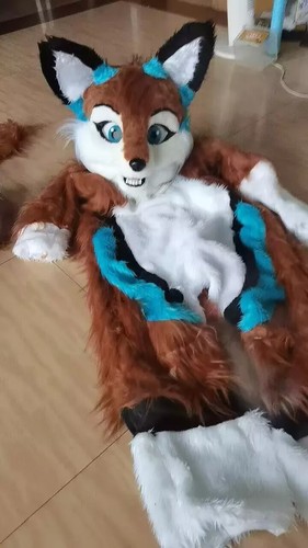 Long fur husky dog fox - long,