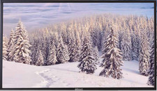 VIVIDTOUCH VTS5500 55" FHD