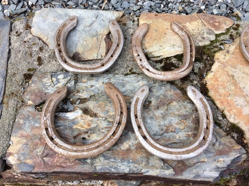 Horseshoe used horse - shoes, old