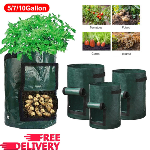 Potato planters grow - 5x, bags
