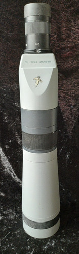 Top quality swarovski habicht - quality,