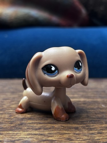 Authentic hasbro littlest pet - authentic,