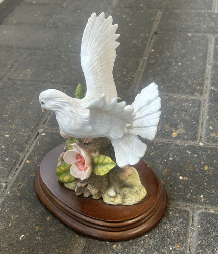 White dove bird - dove,