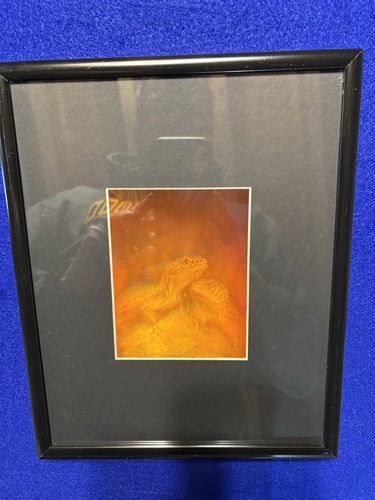 Hologram two lizards - hologram, a