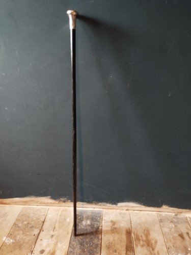 Antique walking stick - antique, dress
