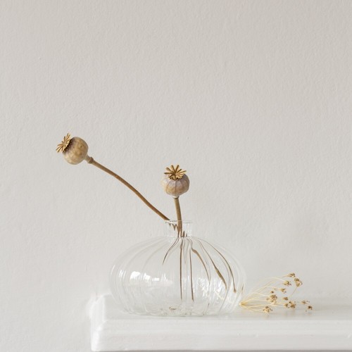 Glass bud vase - glass,