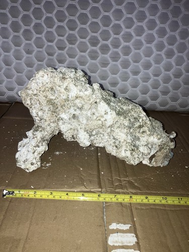 Rk7 unique shaped dry - rk7, live