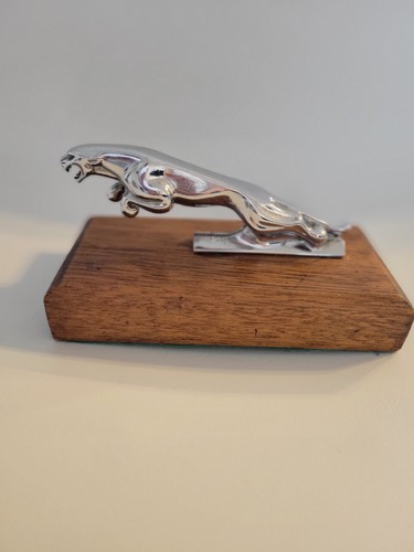 Vintage jaguar car hood - vintage,