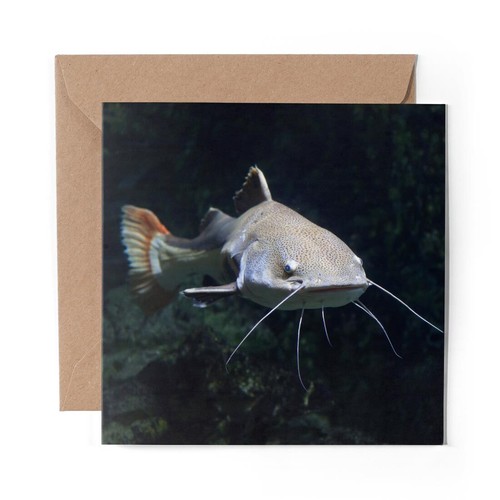 Blank greeting card - x,