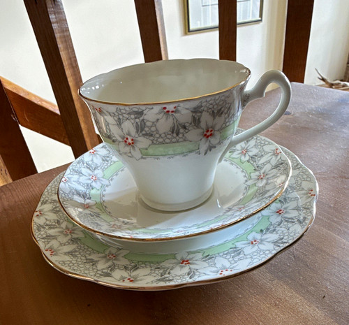 Salisbury fine bone china - salisbury,