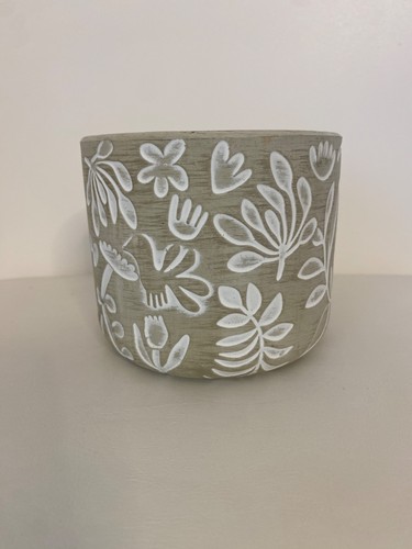 Indoor house plant - indoor, pot