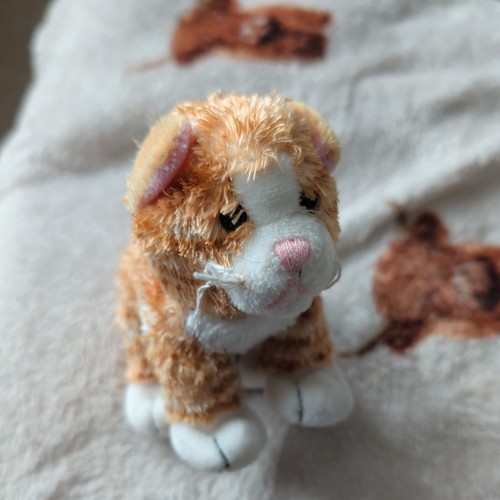 Keel toys ginger kitten - toys, soft