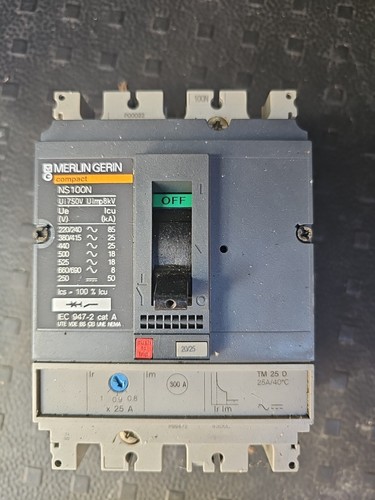 Merlin gerin 100 n - ns,