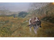 Signed  by artist Springer Spaniel Paintings 