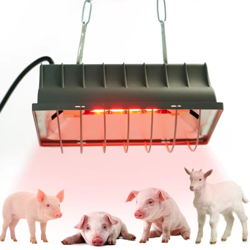 250w poultry heat lamp - poultry,