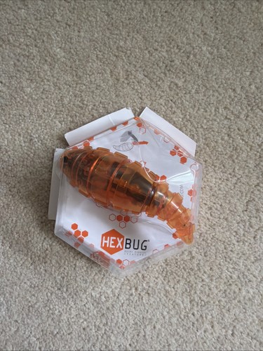 Hex bug larva - hex,