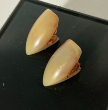 vintage scarecrow custom fangs