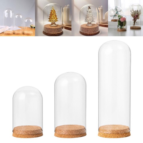 Cloche bell jar - cloche, dome