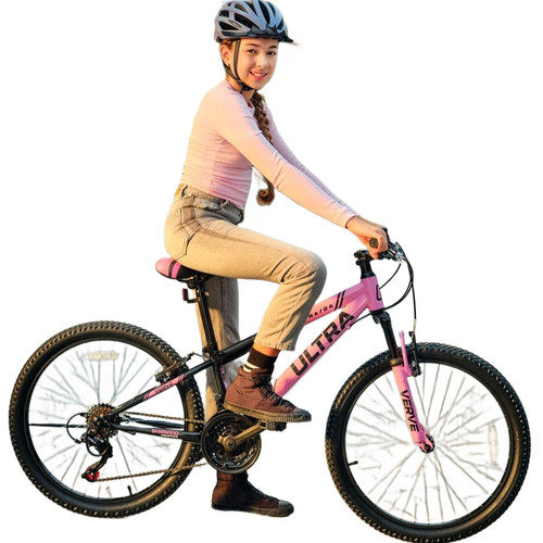 Inch girls mountain bike - 24,