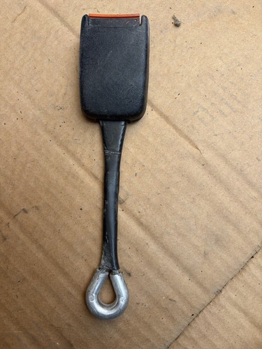 Volkswagen transporter - volkswagen,