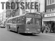 Larger Negative Maidstone &