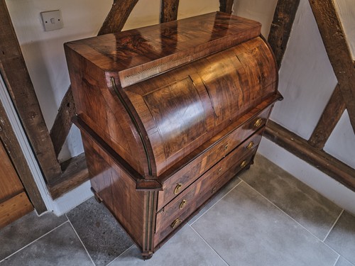 Antique walnut burr - antique,