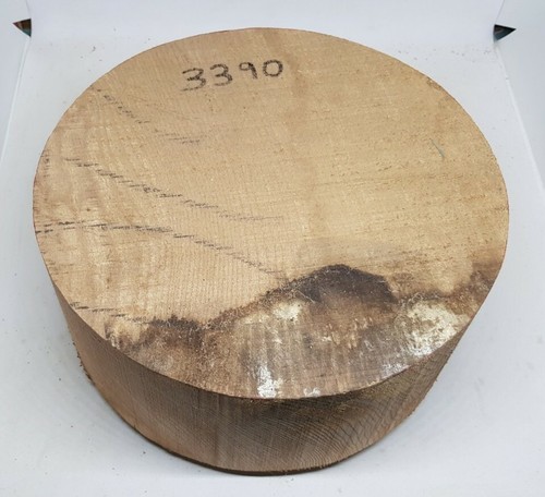 Elm wood turning bowl - , blanks