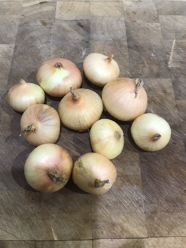 White potato onions rare - potato,
