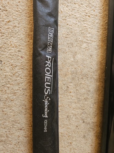 Taiwan proteus spinning rod - spinning,