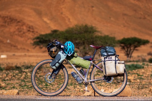 853 tiger reynolds - 853, large
