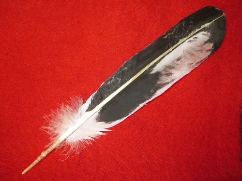 Native american hand painted - hand,