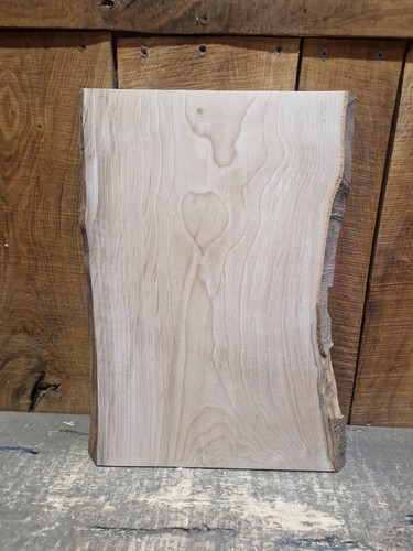 Live edge beech slab - edge,