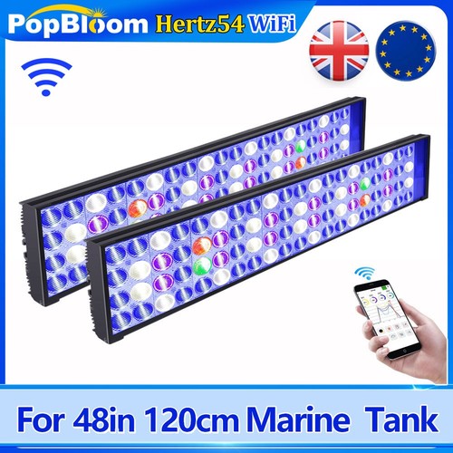 Popbloom h54 wifi led - popbloom,