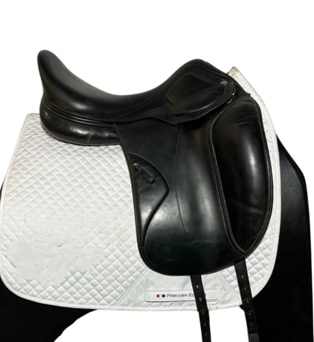 Amerigo classic dressage - amerigo,