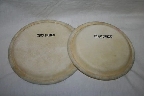 Offbeat natural bongo - 6.5",