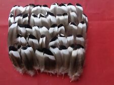 100 Small Mallard Duck Wing