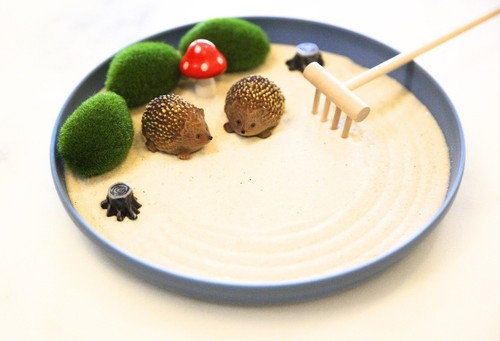 Hedgehog mini zen garden desk - mini,