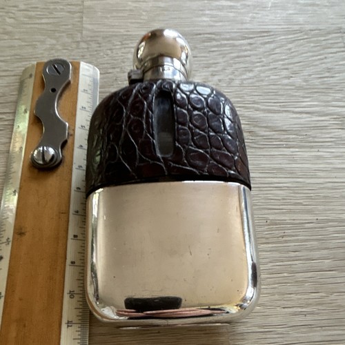 James dixon crocodile covered - james,