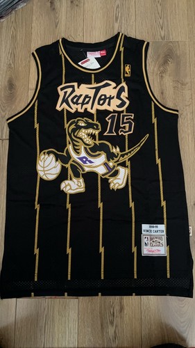 Toronto raptors nba basketball - raptors,